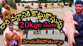 నీటి వరదలో 20 kg ల చేపలు పడ్డాయి|fish hunting|fishing|fish hunting videos|fish hunting video|fish