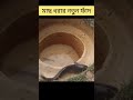 মাছ ধরার সহজ উপায় শিখেনিন