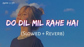 Do Dil Mil Rahe Hai (Slowed + Reverb)
