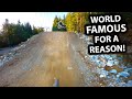 Shredding the Most Famous Trails in the world! - Freeride MTB at Whistler Bike Park