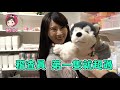 ikea百元商店最值得買的竟然是這個？！ 店員給我來十個！ ft.蕾兒｜熙nn大調查