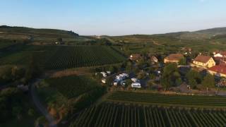 Burkheim im Breisgau mit der Drohne