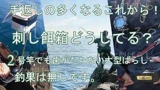 磯釣り初心者必見！便利な餌箱装備！2号竿の4号ハリスでも歯がたたない！三重県紀伊長島（大島の裏）