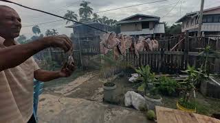 🇬🇾Making smoke fish🇬🇾Recreational Park🇬🇾Another day in Guyana🇬🇾