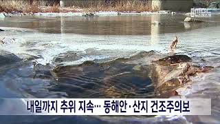 [단신] 내일까지 추위 지속...동해안·산지 건조주의보 221104