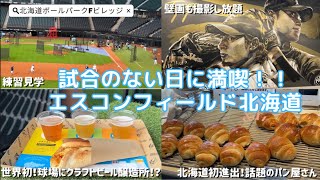 【エスコンフィールド北海道】試合のない日のエスコン満喫【北海道ボールパークFビレッジ】