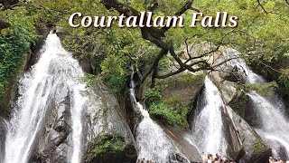 Courtallam Falls/Five Falls/Mainfalls/kutralum Tourist Place/One day Trip to Courtallam Falls