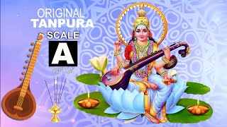 A Tanpura Best scale for male singing | original sound | Best for meditation