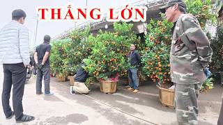 Crowds of people buy peach blossoms and kumquats at Hung Yen market.