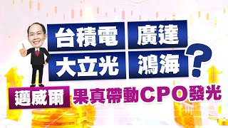 台積電、廣達、大立光、鴻海？邁威爾果真帶動CPO發光｜2025/01/10｜徐照興 分析師｜新台股龍捲風