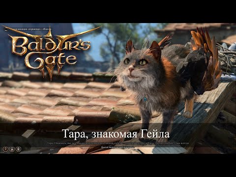 Baldur's Gate 3 Найти пропавшие письма Пропавшие голуби Find The Missing Letters Tara