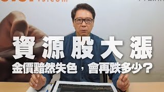 '20.11.23【豐富│聽，阮大哥的！】資源股大漲！金價黯然失色，會再跌多少？