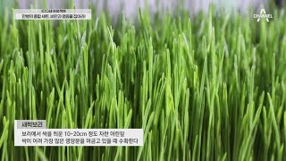 비만이면 성인 아토피 발병 가능성이 있다?! | 100세 프로젝트 29 회