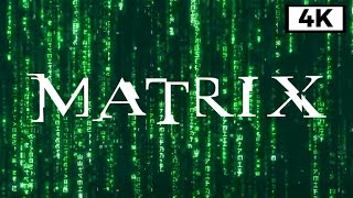 Matrix Rain Code - Longest Baсkground Video 4K