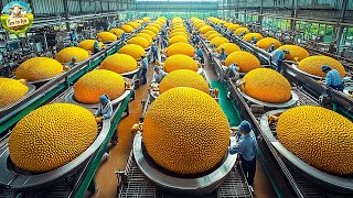 How do Asian Farmers Grow and Process Hundreds of Tons of Jackfruit Each Year? | Jackfruit Farming🍈