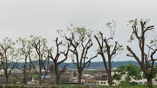 令和元年 夕方 上り山陽新幹線 停車中 明石市魚住町