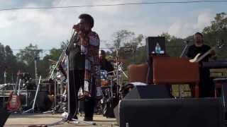 Sista Monica Parker (2) July 27, 2013 at Pennsylvania Blues Festival