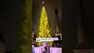 Trafalgar Square Christmas Tree Lights Up! 🎄 #shorts #london