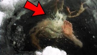 Top 10 Mysterious Things FOUND FROZEN IN ANTARCTICA!