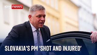 Slovakia's PM Robert Fico shot and injured