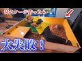 【困難】リクガメの巨大ケージを初めて作ったらトラブルだらけでした…