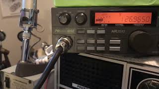 President HR-2510 New Radio Toy