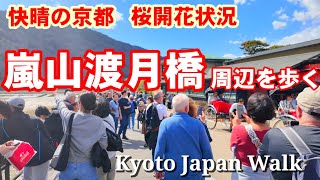 3/29(金)快晴の京都を歩く 賑わう嵐山渡月橋周辺/桜開花状況【4K】Kyoto Japan walk