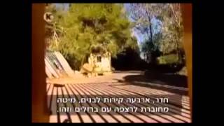 השופטת חנה בן עמי: נתקלתי במקרה אימוץ שהתנהלות פקידות הסעד גבלה בפלילים