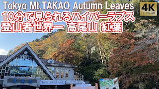 Tokyo Mt.Takao Autumn leaves 2024. 10min Hyperlapse. The world's largest number of climbers.