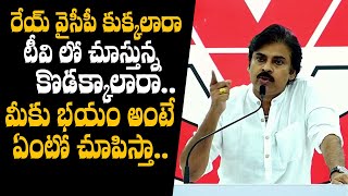 రేయ్ వైసీపీ కుక్కల్లారా టీవీ లో చూస్తున్న కొడకల్లారా మీకు భయం అంటే ఏంటో చూపిస్తా.. | Pawan Kalyan