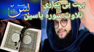 Hafiz Tahir Qadri | Tilawat e Surah Yaseen | Beautiful Manazir | 4k | Sms Islamic Daily |
