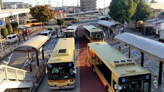 愛甲石田駅 北口 神奈中バス 発着シーン