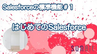 【 Salesforce の標準機能 #1 】 はじめてのSalesforce