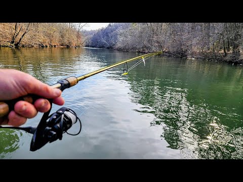 Fishing a HIDDEN BACKWATER Creek!! (Catch and Cook and New Species)