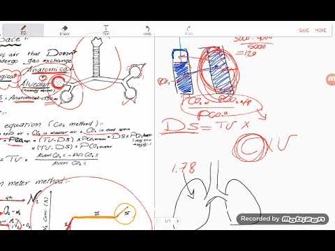 Dead Space, Respiratory Physiology, Dr. A. Farag - YouTube