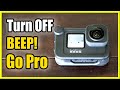 How to Turn OFF Beep on Go Pro Hero 9 & Reduce Volume! (Fast Method!)