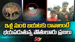 Tiger Hulchul in Prathipadu Mandal | Locals Face to Face | Ntv