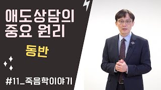 죽음학이야기[#11] 애도상담의 중요원리-동반