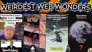 weirdest web wonders vol 185
