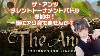 ザ・アンツ配信♪みんなでアリ育てませんか？