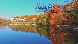 【京都】宝が池の紅葉 Takaragaike Park in autumn season