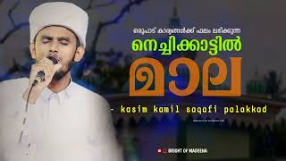 nechikkattil auliya mala || kasim kamil saqafi palakkad #madhsongmalayalam #hubburasool