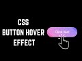 CSS Gradient Button with Hover Animation | HTML & CSS Tutorial for Beginners