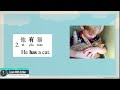 学中文 learning chinese basic chinese sentence 中文基本句型 3 有（have）