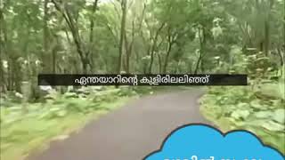 മഴവിൽ സംഘം ,വർണ്ണപ്പറവകൾ