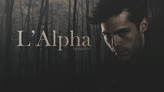 L'Alpha { Wattpad Trailer French }