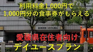 東京第一ホテル松山のデイユースプランを利用してきた。