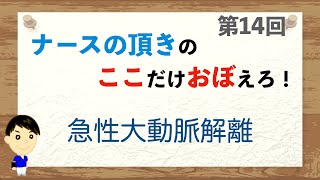 ここおぼ！【第14回】急性大動脈解離