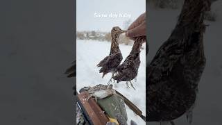 Snow❄️day snipe shoot #snow #louisiana #snipe #hunting #1000subscriber #fyp