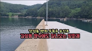 감성돔 짬낚에도 잘나오는 석축 방파제 시리즈 7